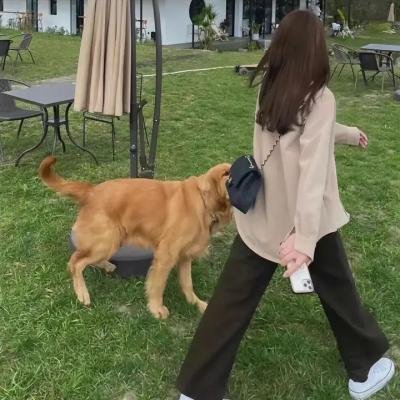 风起洛阳之双子追凶