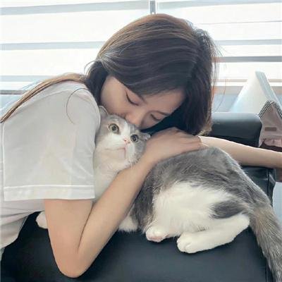 太阳神父月亮修女